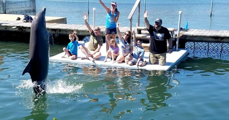 Florida Keys: Dolphin Research Center Day Tour with Lunch - Key points at a glance