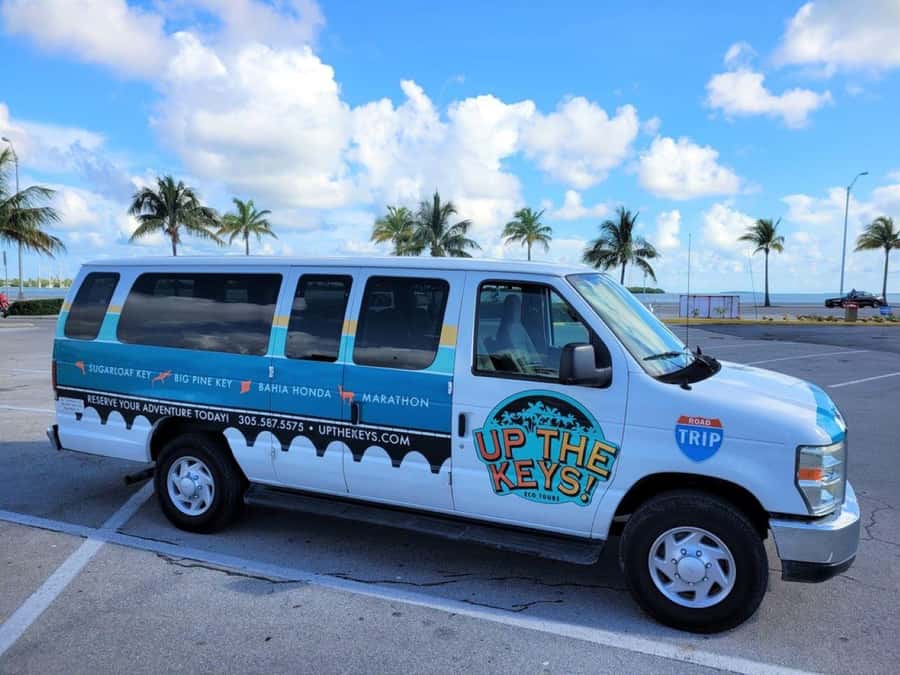 Florida Keys: Dolphin Research Center Day Tour with Lunch - Why this South Keys tour works well from Key West