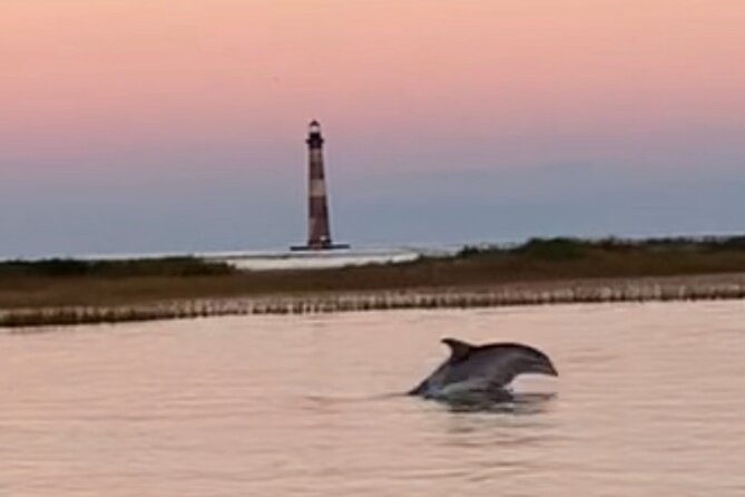 Folly River Dolphin Adventure (options for private or public) - The first 30 minutes: a gentle ride through the marsh