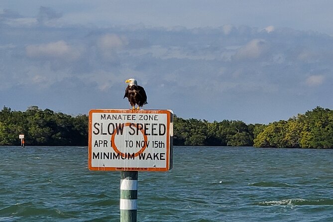 Fort Myers Beach Dolphin & Sightseeing Tour Refreshments Included - Is $64.95 a fair price?