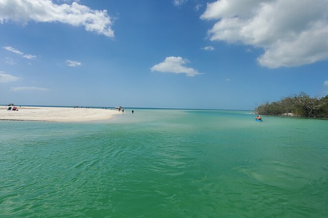 Fort Myers Beach Dolphin & Sightseeing Tour Refreshments Included - Who will enjoy this most