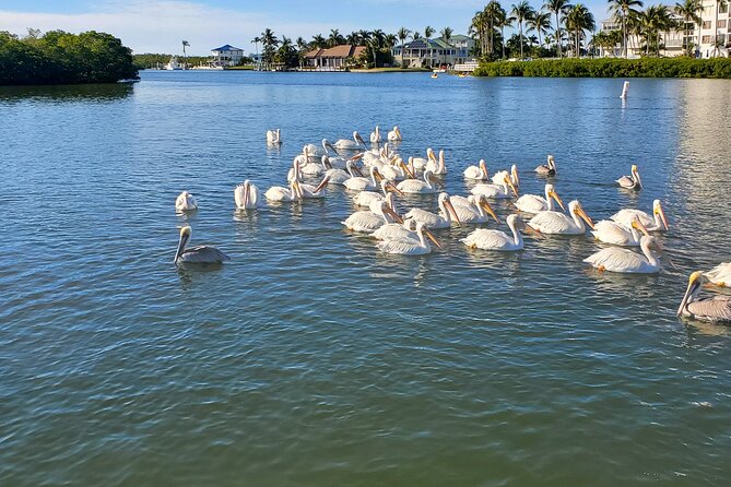 Fort Myers Beach Dolphin & Sightseeing Tour Refreshments Included - Following the back waters toward Mound Key