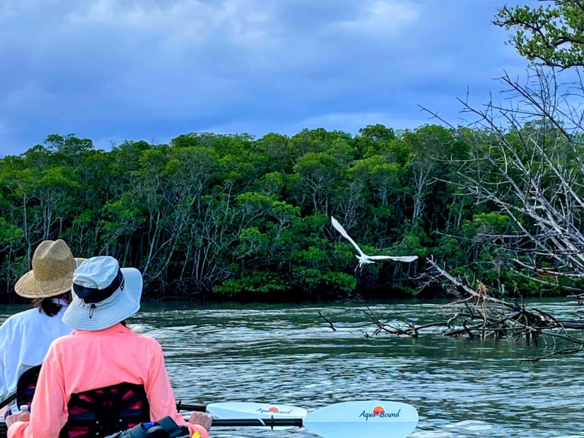 Fort Pierce: 4-hr Mangroves & Dolphin Watch Sandbar in FL - Key points at a glance