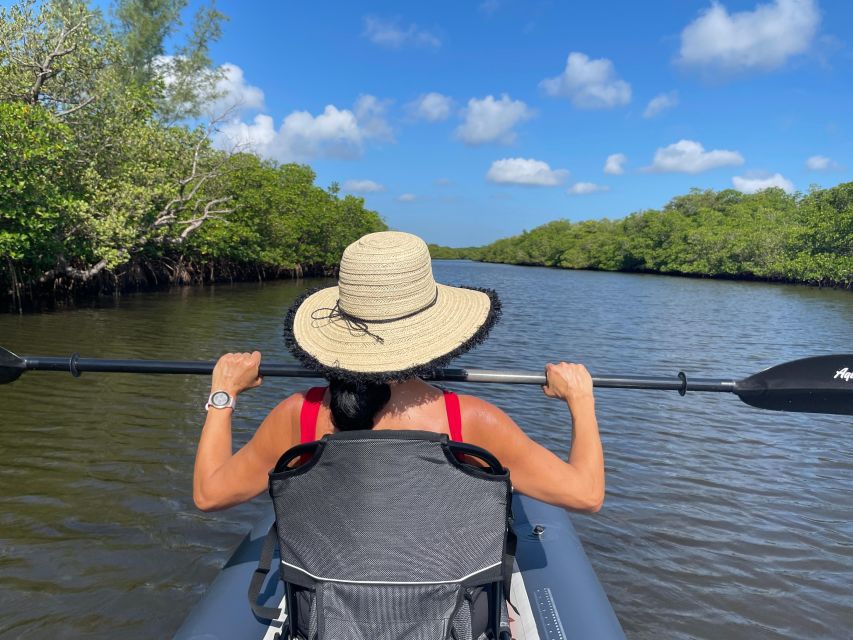 Fort Pierce: 4-hr Mangroves & Dolphin Watch Sandbar in FL - A four-mile route through Fort Pierce’s lagoon