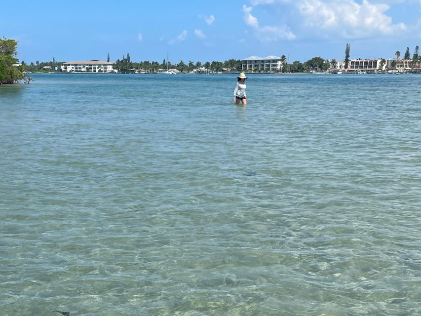 Fort Pierce: 4-hr Mangroves & Dolphin Watch Sandbar in FL - Birds and marine life along the mangroves
