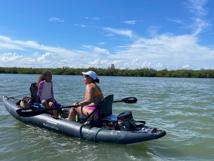 Fort Pierce: 4-hr Mangroves & Dolphin Watch Sandbar in FL - Understanding why the mangroves matter