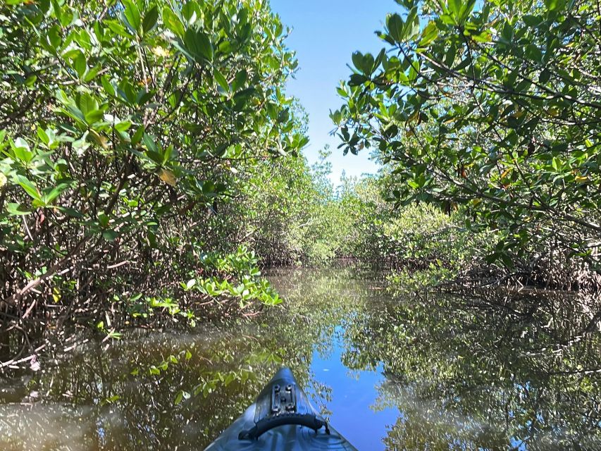 Fort Pierce: 4-hr Mangroves & Dolphin Watch Sandbar in FL - Taking a break at the tidal sandbar