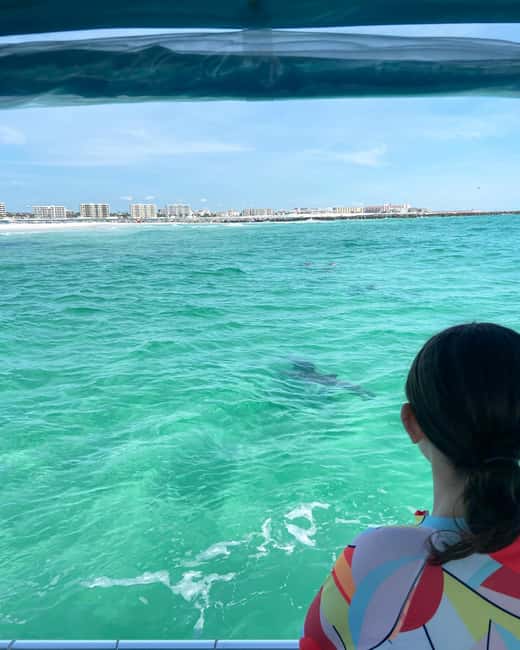 Fort Walton Beach: Emerald Coast 2-hour Dolphin Cruise - Watching for dolphins in their natural habitat