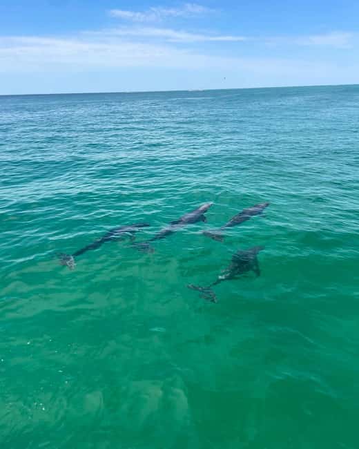 Fort Walton Beach: Emerald Coast 2-hour Dolphin Cruise - What the two-hour schedule feels like