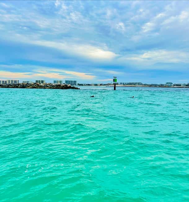 Fort Walton Beach: Emerald Coast 2-hour Dolphin Cruise - My verdict: book it for value, not certainty