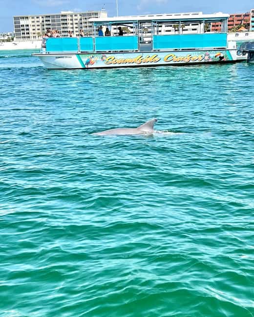 Fort Walton Beach: Emerald Coast 2-hour Dolphin Cruise - Is $13 a good value?