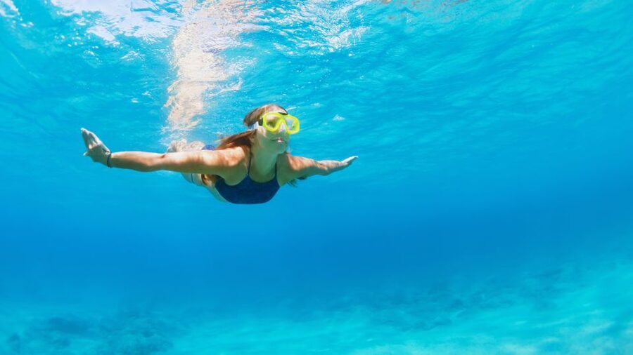 Fort Walton Beach: Morning Dolphin Cruise with Snorkel Stop - Should you book the Fort Walton Beach dolphin cruise?