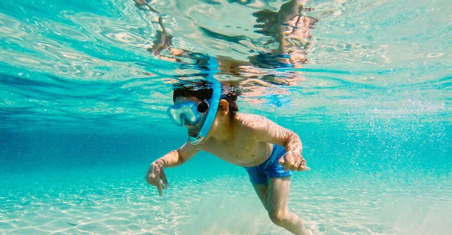 Fort Walton Beach: Morning Dolphin Cruise with Snorkel Stop - What the 45-foot catamaran ride feels like