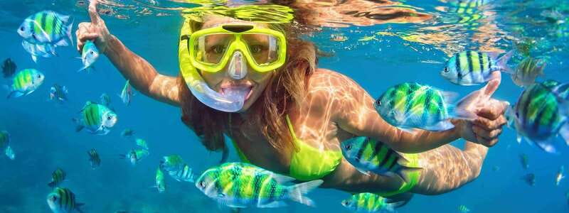 Fort Walton: Dolphin Discovery and Snorkeling Cruise - Starting from Fort Walton Beach