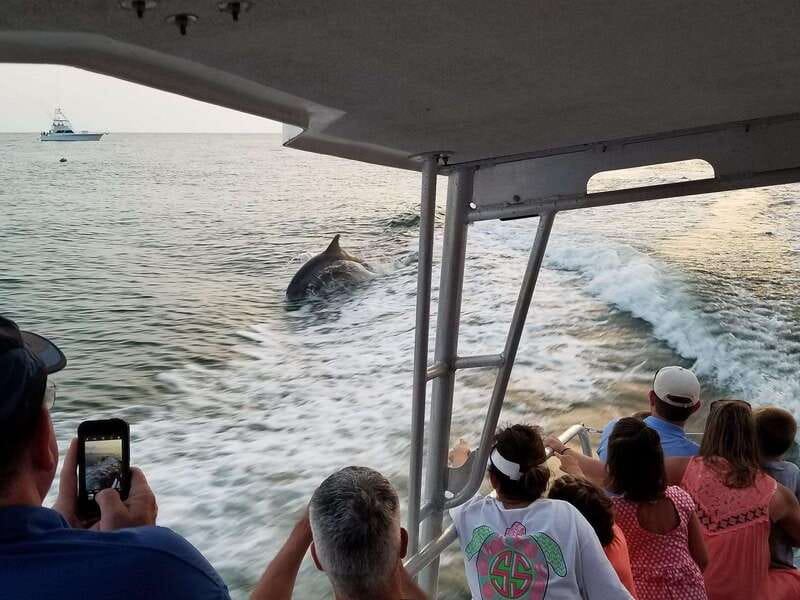 Fort Walton: Dolphin Discovery and Snorkeling Cruise - Seeing Destin Harbor from the water