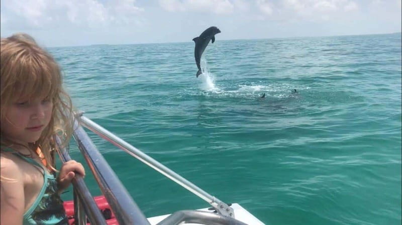 Fort Walton: Dolphin Discovery and Snorkeling Cruise - Is $67 a fair price?