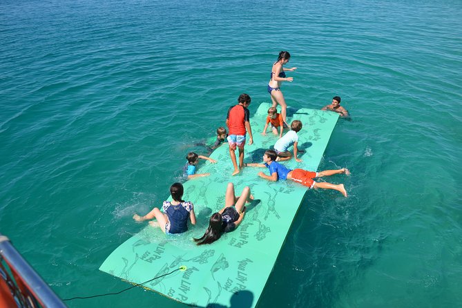 Fraser Island & Dolphin Sailing Adventure - Key things to know before you book