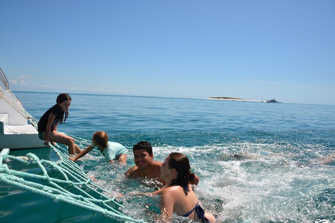 Fraser Island & Dolphin Sailing Adventure - Morning tea, timing, and what the price covers