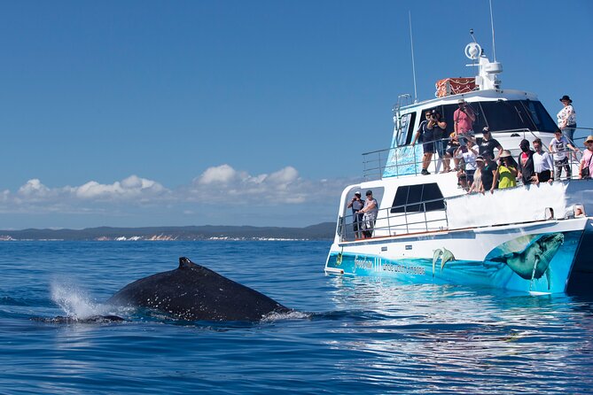Fraser Island & Dolphin Sailing Adventure - Who will get the most from this cruise