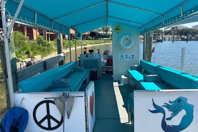 Frisky Mermaid Dolphin Tour + Secluded Beach + Equip - Key points at a glance