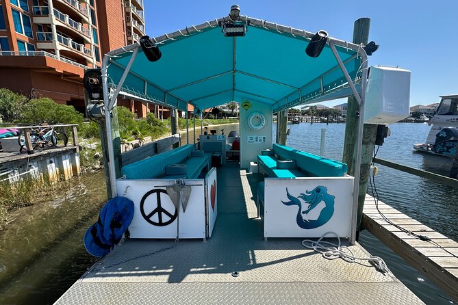 Frisky Mermaid Dolphin Tour + Secluded Beach + Equip - Local sights and stories along the route