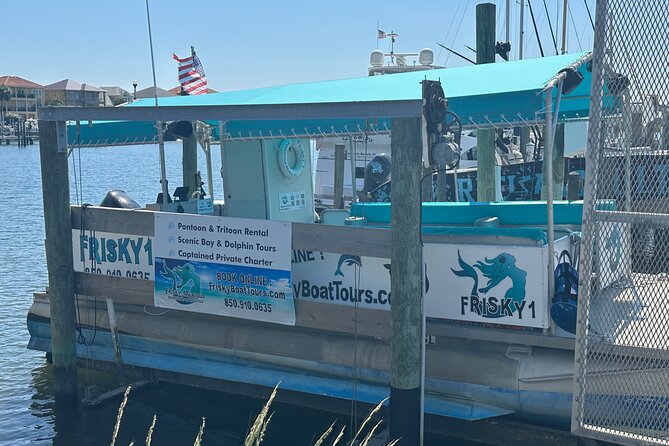 Frisky Mermaid Dolphin Tour + Secluded Beach + Equip - Why the private format changes the value