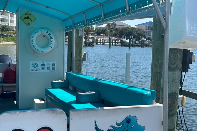 Frisky Mermaid Dolphin Tour + Secluded Beach + Equip - What the captain can add