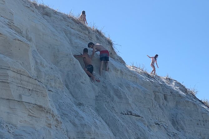 Frisky Mermaid Dolphin Tour + Secluded Beach + Equip - Who will enjoy this most