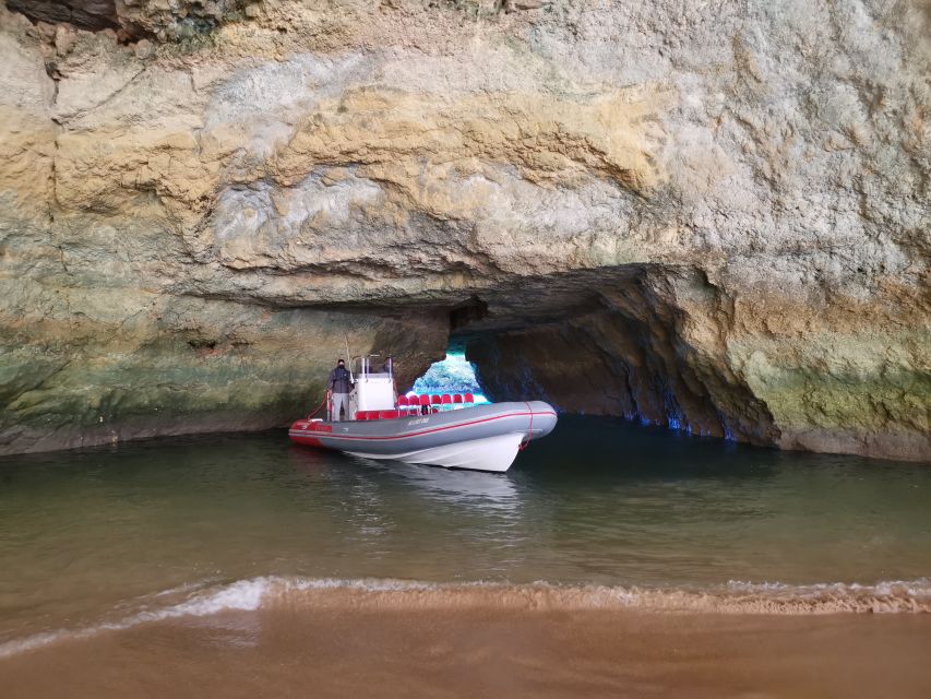 From Albufeira: Benagil Caves and Dolphins Guided Boat Tour - What this Albufeira boat trip actually delivers