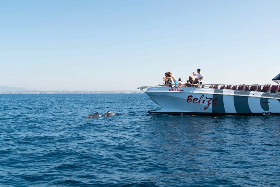 From Albufeira: Dolphins and Caves 2.5-Hour Boat Trip - Wind, spray, and what to wear