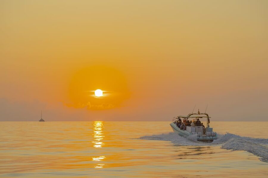 From Alcudia: Sunrise Dolphin Watching Boat Tour - Who will enjoy this morning most
