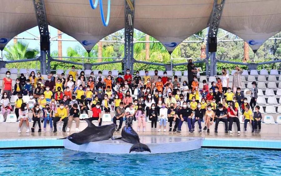 From Belek: Dolphin Show with Transfers - Who should book this dolphin show