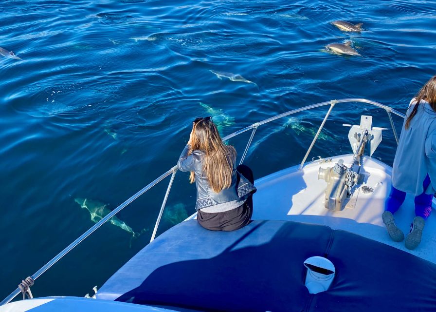 From Benalmádena & Torremolinos: Dolphin Watch Boat Trip - Key points to know before you book