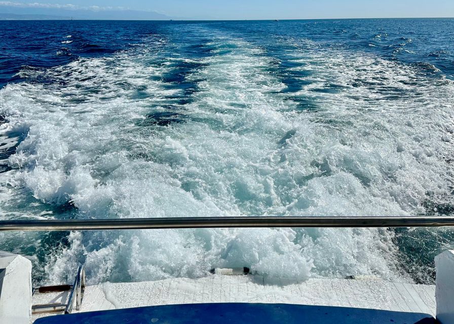 From Benalmádena & Torremolinos: Dolphin Watch Boat Trip - Who will enjoy this boat trip most