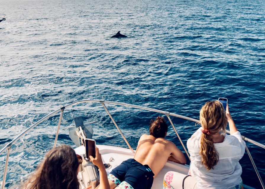 From Benalmádena & Torremolinos: Dolphin Watch Boat Trip - What to pack for the 90 minutes