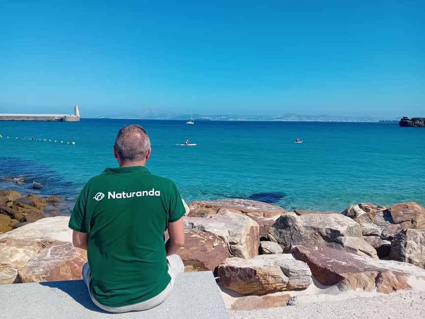 From Cádiz Bay: Tarifa Dolphin Watching Tour - Key points to know before booking