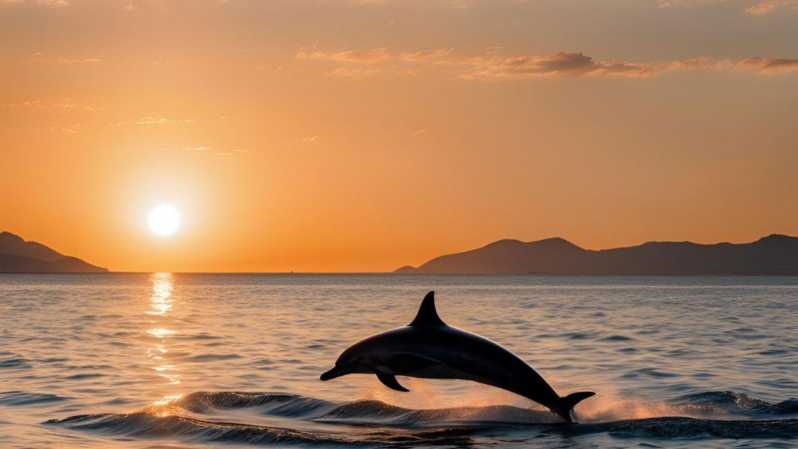 From Cagliari: sunset dolphin watching tour - Setting out from Cagliari harbor
