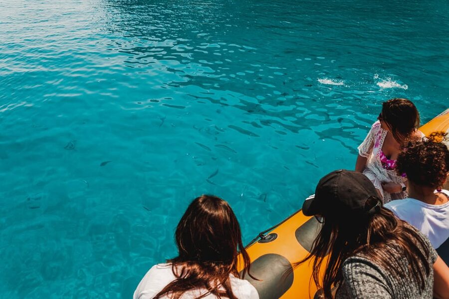 From Can Picafort: Dolphin Watching and Cave Boat Trip - Key points before you book