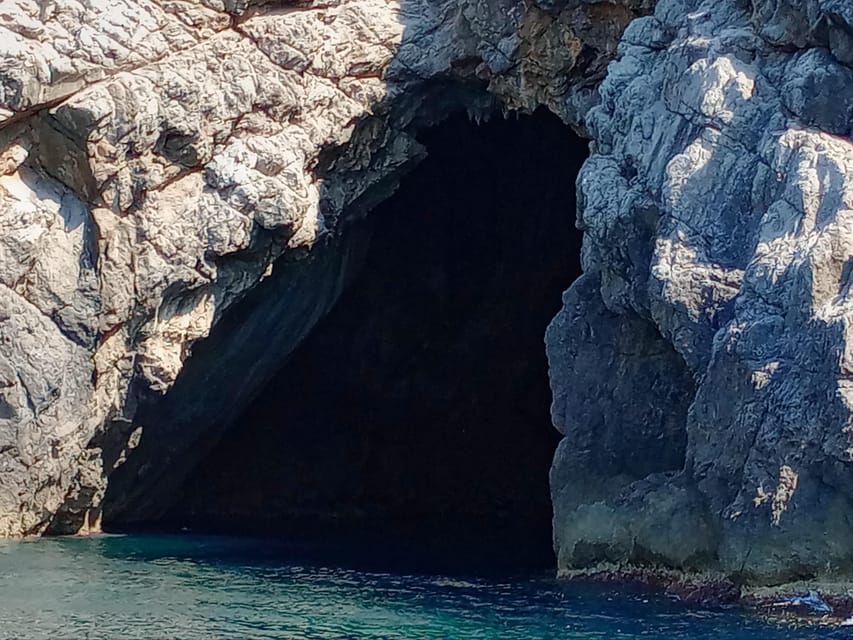 From Can Picafort: Dolphin Watching and Cave Boat Trip - Who will enjoy this boat trip most?