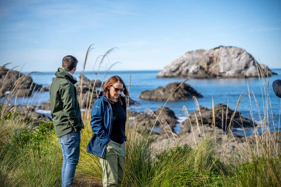 From Christchurch: Kaikōura Day Tour With Dolphin Encounter - One hour in Kaikōura before lunch