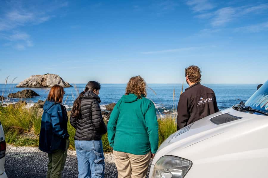 From Christchurch: Kaikōura Day Tour With Dolphin Encounter - The early Christchurch pickup and the long road north