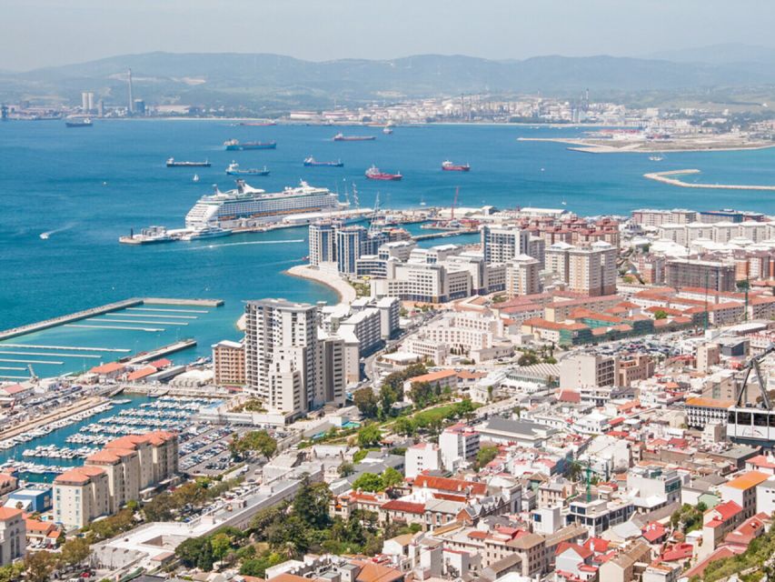 From Costa del Sol: Gibraltar Dolphin Watching by Boat - Key points to know before booking