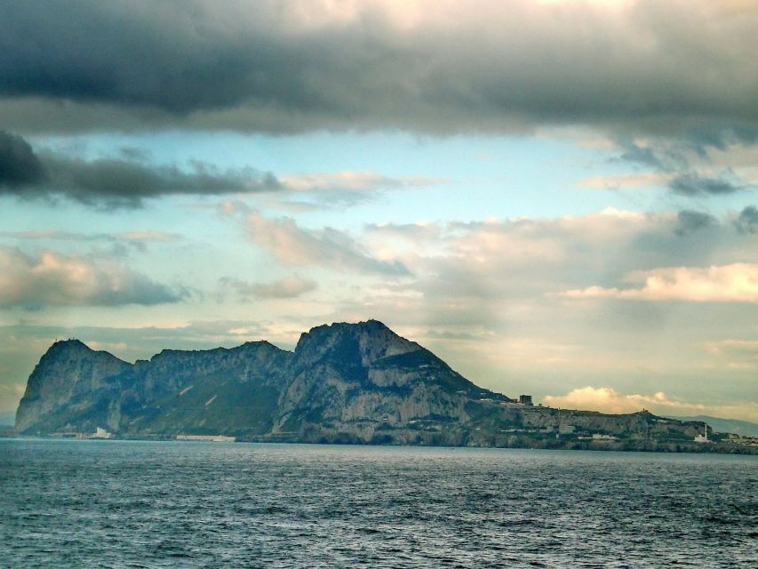 From Costa del Sol: Gibraltar Dolphin Watching by Boat - A dolphin trip with Gibraltar on the side