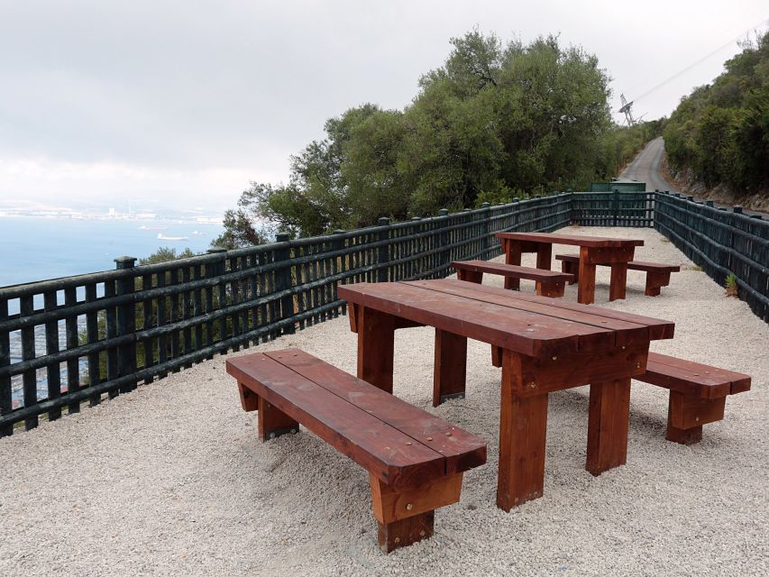 From Costa del Sol: Gibraltar Dolphin Watching by Boat - Lunch and the local food angle