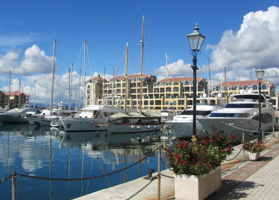 From Costa del Sol: Gibraltar Dolphin Watching by Boat - The guide and coach experience