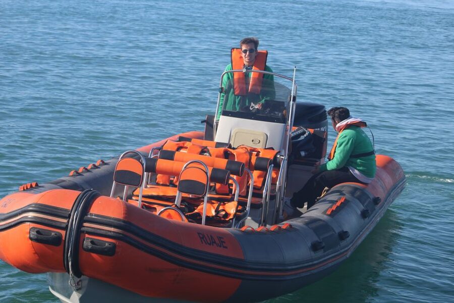From Faro: Dolphin Watching & 2 Islands Tour - Key points to know before booking