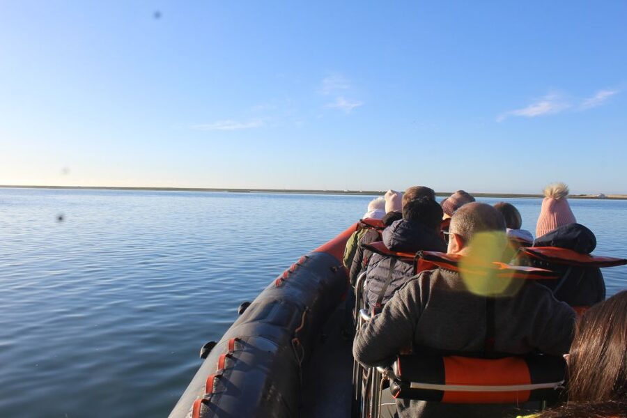 From Faro: Wildlife and Dolphin-Watching Speedboat Tour - Start in Faro with a short, lively boat ride