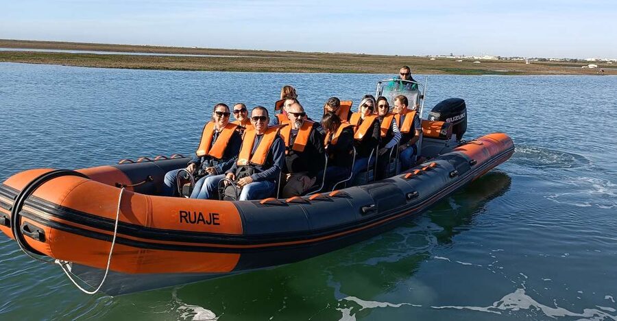 From Faro: Wildlife and Dolphin-Watching Speedboat Tour - What the small group changes