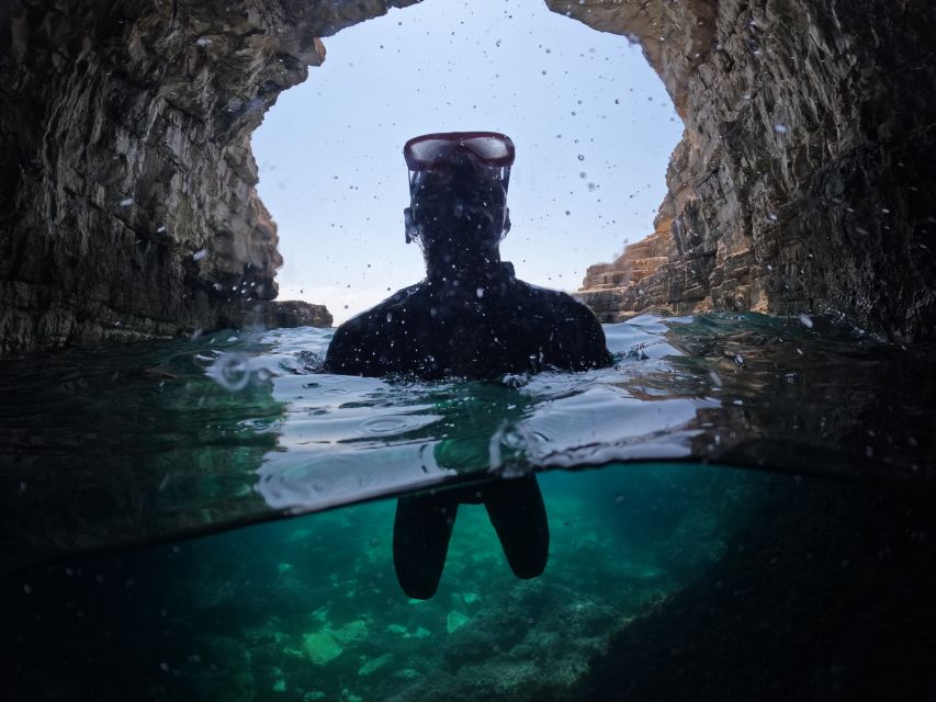 From Fazana: Dolphin watching and snorkeling in Blue Cave - Is $365 good value for six people?