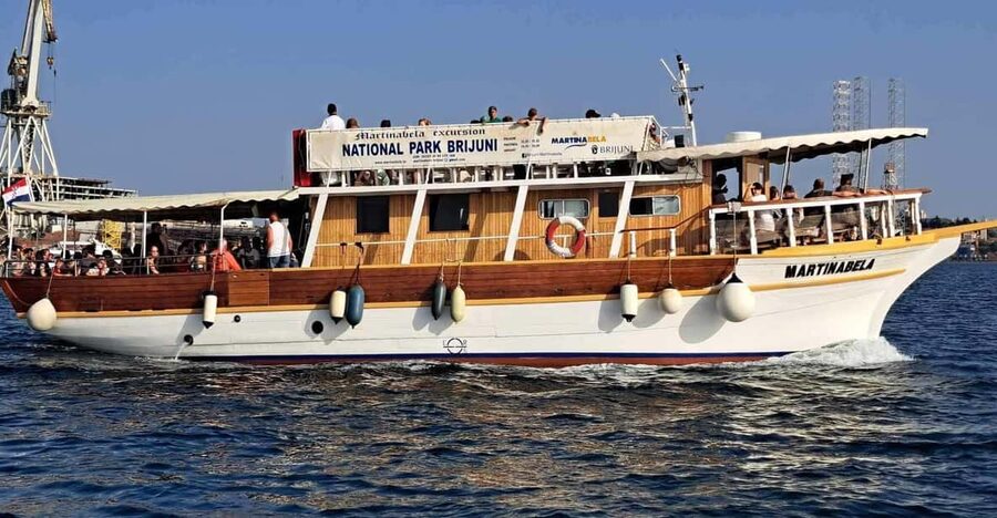 From Fazana: Dolphin watching sightseeing cruise at sunset - What a dolphin sighting really involves